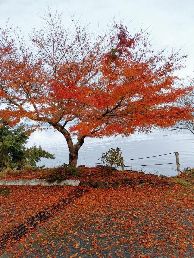 温哥华岛城堡海湾酒店 彻梅纳斯 外观 照片